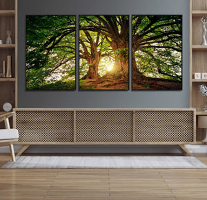 Majestic Ancient Tree Wall Art, NatureCanvas Print, Woodland