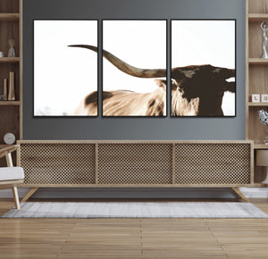Texas Longhorn Wall Art Canvas Print | 3-Panel Large