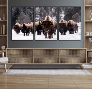 Bison Wall Art Canvas Print- Bison Herd Canvas Wall Art –