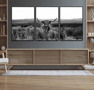 Black and White Highland Cow Canvas Wall Art, Longhorn