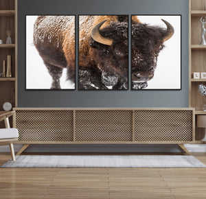 Bison Wall Art Canvas Print For Farmhouse, Wild Animal Wall
