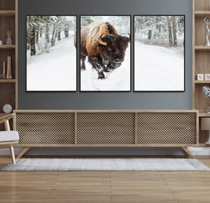 Bison Wall Art Canvas Print For Farmhouse, Animal Canvas