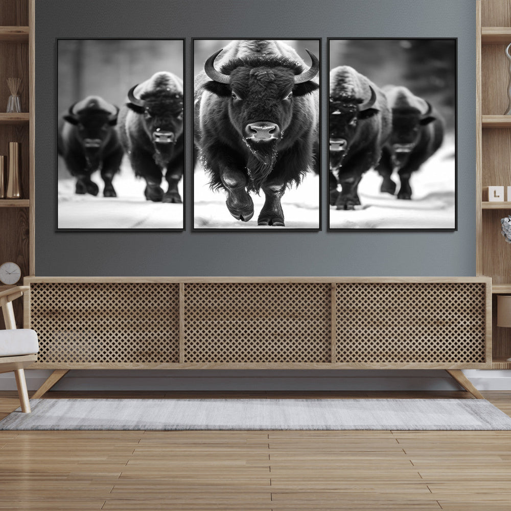 American Bison Art | Buffalo Herd Wall Art Canvas Print, BW