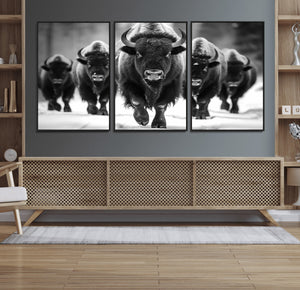 American Bison Art | Buffalo Herd Wall Art Canvas Print, BW