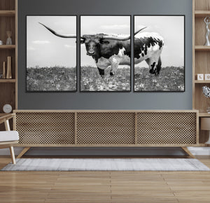 Texas Black White Highland Longhorn Cow Wall Art Canvas