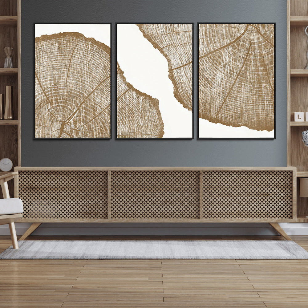 Rustic Brown Tree Ring Wall Art Canvas Print – Framed and