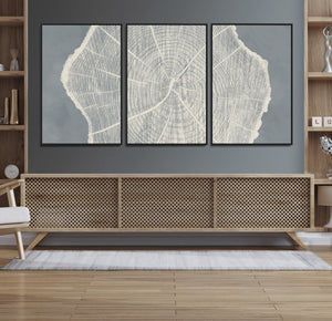 Abstract Tree Ring Wall Art Canvas Print – Nature-Inspired,