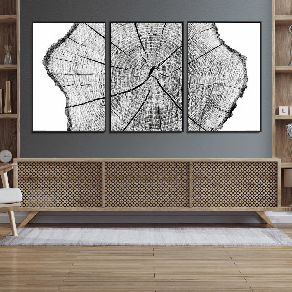 Rustic Tree Ring Wall Art Canvas Print – Framed and Ready to