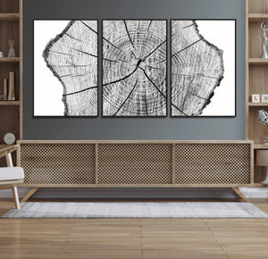Rustic Tree Ring Wall Art Canvas Print – Framed and Ready to