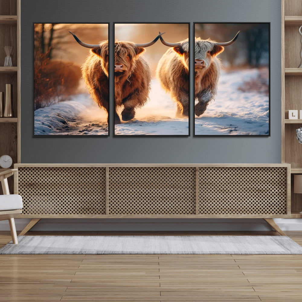 Scottish Highland Cow Horn Farm Wall Art Canvas Print