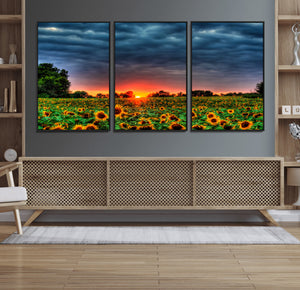 Golden Sunflower Field at Sunset – Breathtaking Sky and