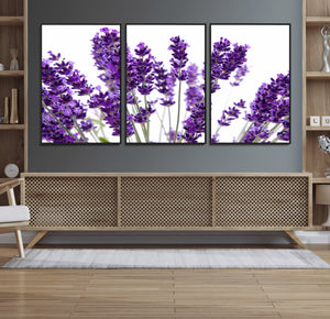 Lavender Flower Wall Art Canvas Print