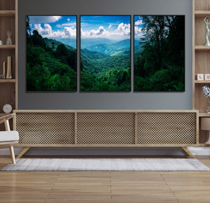 Tropical Jungle Wall Art Canvas Print – Framed Lush Valley