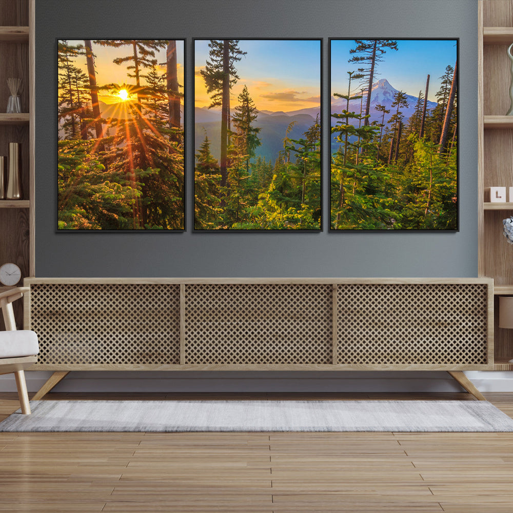 Forest Sunset Wall Art Canvas Print, Glowing Evening Light