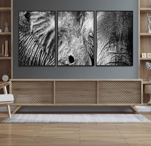 Wild Old Elephant Wall Art Canvas Print