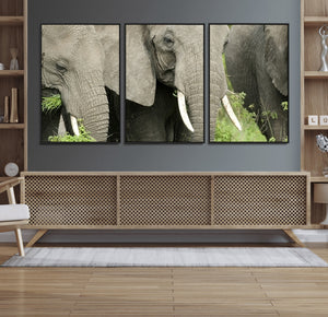 Wild Elephant Wall Art Canvas Print