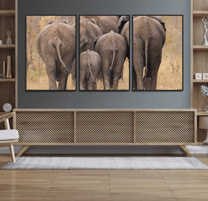 Wild Elephant Wall Art Canvas Print