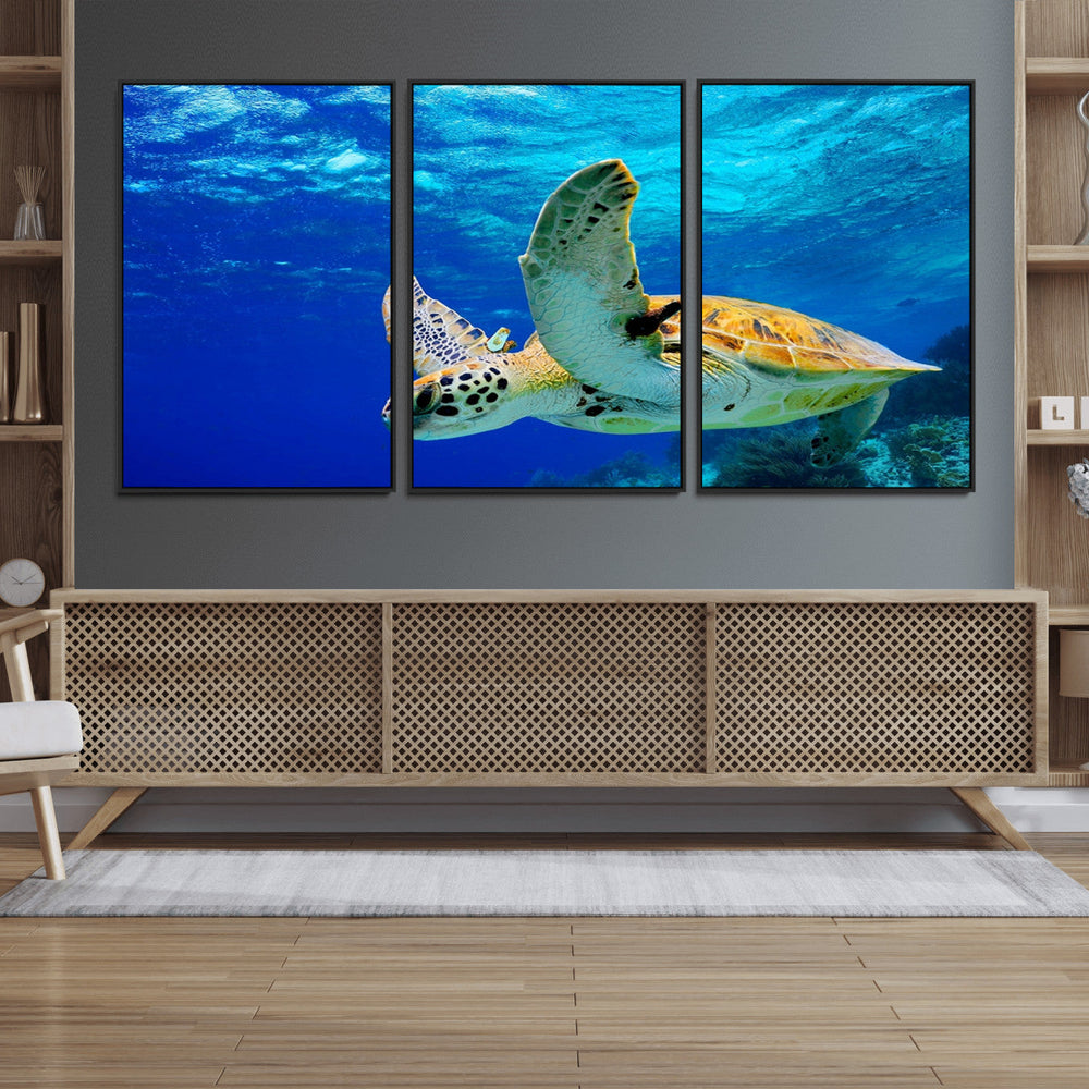 Sea Turtle Wall Art Canvas Print, Sea life in the Ocean Wall