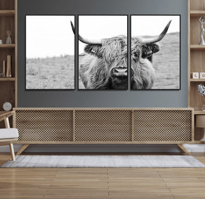 Newfoundland Cow Art Wall Art, Black White Cow Art Wall Art