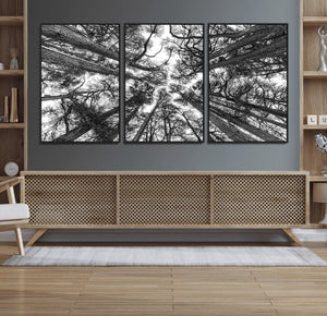 Trees Contemporary Art Canvas Print