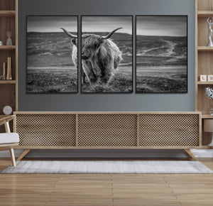 Fluffy Cattle Wall Art Print, Highland Cow Canvas, Framed