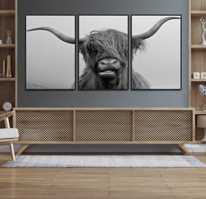 Texas Cow Wall Art Canvas, Texas Longhorn Cattle Canvas