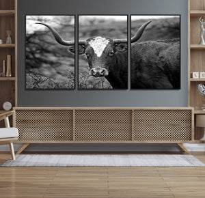 Western Home Wall Art Canvas Print, Framed Texas Longhorn