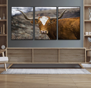 Texas Longhorn Canvas Wall Art - Longhorn Steer Canvas Wall
