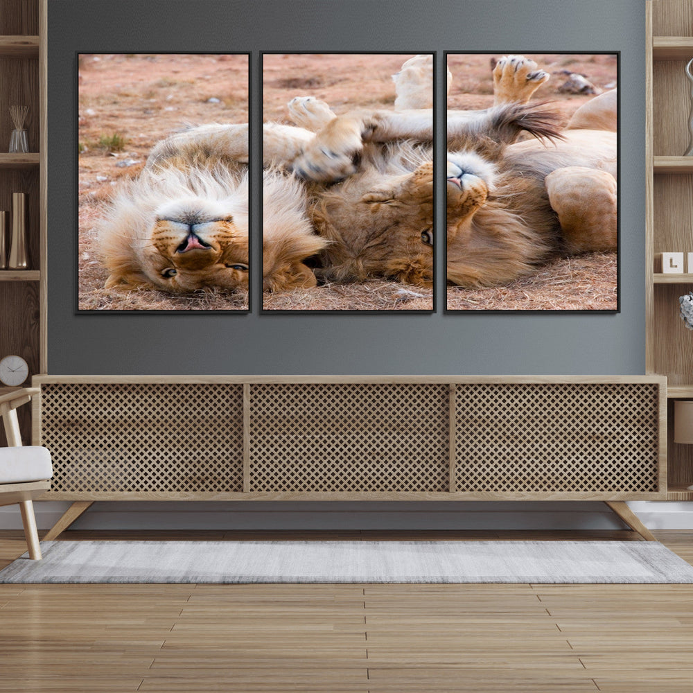 Lion Pair Wall Art Canvas Print – Framed Wildlife Scene with