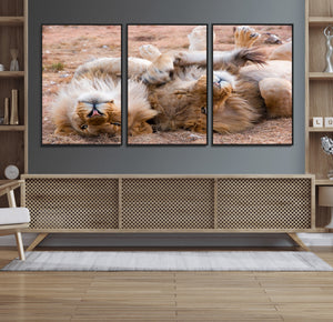 Lion Pair Wall Art Canvas Print – Framed Wildlife Scene with