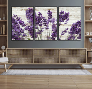 Lavender Herb Wall Art Canvas Print