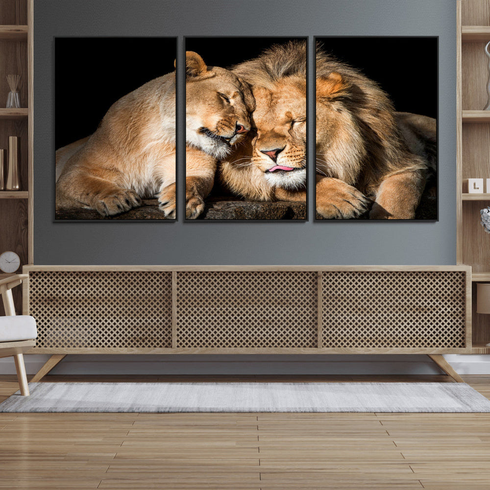 Lion and Lioness Wall Art Canvas Print – Framed African
