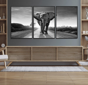 Black and White Elephant Wall Art Canvas Print