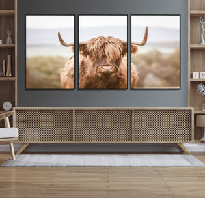 Scottish Serene Highland Cow Canvas Wall Art – Serene