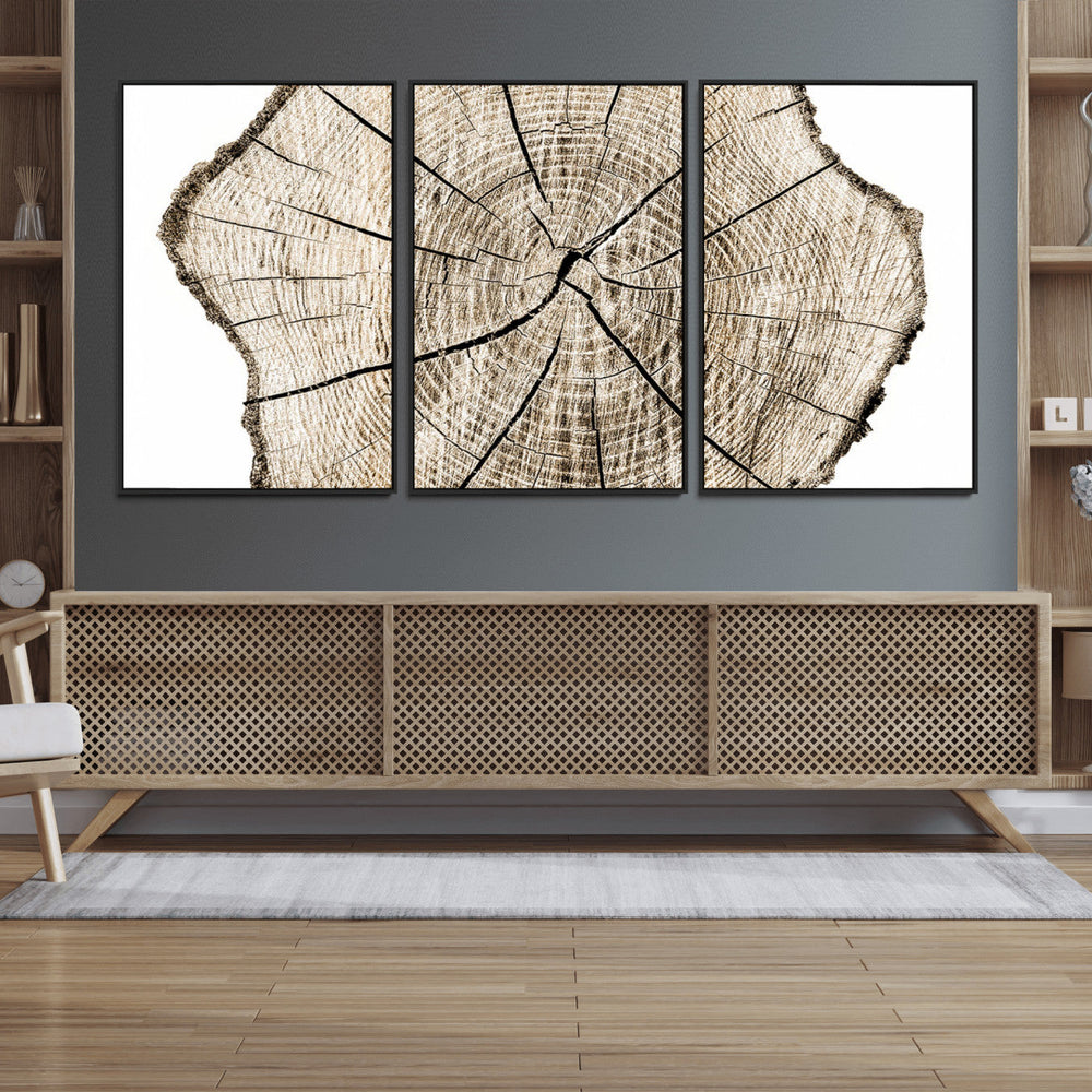 Abstract Wood Tree Ring Wall Art - Ready to Hang Minimalist