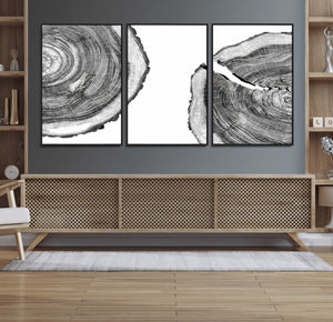 Abstract Large Tree Rings – Minimalist Black and White Wood