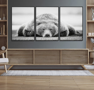 Resting Grizzly Bear Wall Art Canvas Print – Majestic Lazy