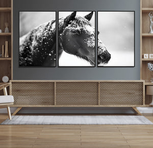 Horse Canvas Print - Winter Horse Snow Wall Art Canvas Print