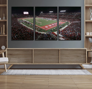 Houston Cougars Football Team Print - Houston TDECU Stadium