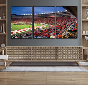 Wisconsin Badgers Football Team Print - Madison Camp Randall