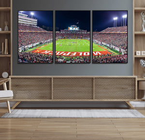 Wolfpack Football Team Print - Raleigh Carter-Finley Stadium