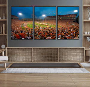 Clemson University Tigers Football Team Print - Clemson