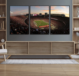 Ohio State University Buckeyes Football Team Print -