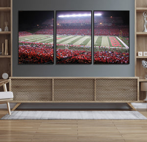 Rutgers University Scarlet Knights Football Team Print -