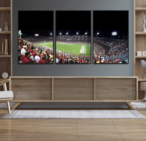 Stanford University Cardinal Football Team Print - Stanford