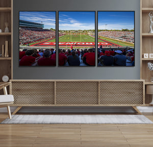 Ball State Cardinals Football Team Print - Muncie Scheumann