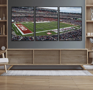 The Temple University Owls Athletics Team Print -