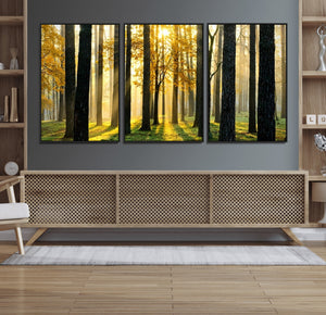 Sunlit Forest Wall Art Canvas Print – Large Framed Woodland