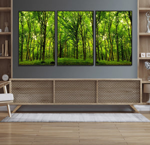 Lush Green Forest Canvas Print | 3-Panel Forest Wall Art |