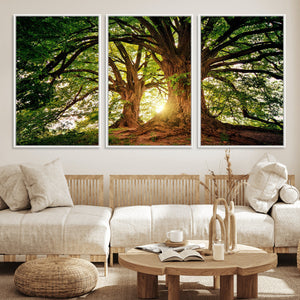 Majestic Ancient Tree Wall Art, NatureCanvas Print, Woodland